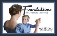 Mediated Learning Workshops
