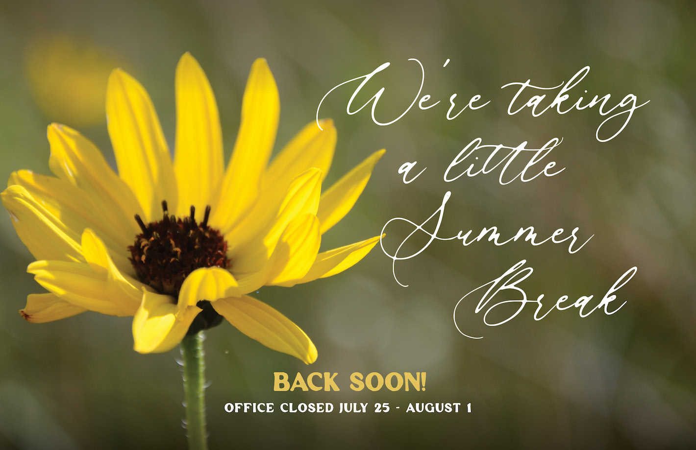 Traditional Home Schooling in Alberta - WISDOM Home Schooling