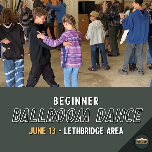 Basics & Intermediate Ballroom Weekend - Lethbridge Area B <span>E1052</span>