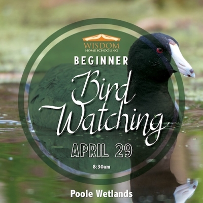 Introduction to Bird Watching G