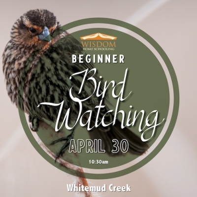 Introduction to Bird Watching H