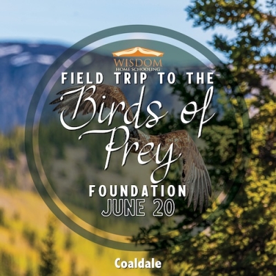 Field Trip to the Birds of Prey Foundation