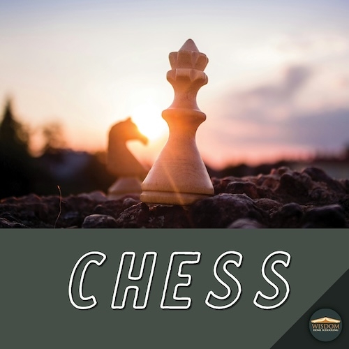 In Person Chess Workshop - Edmonton 