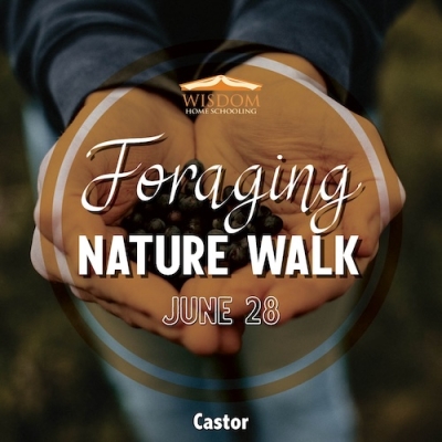 Foraging Walk A - Castor