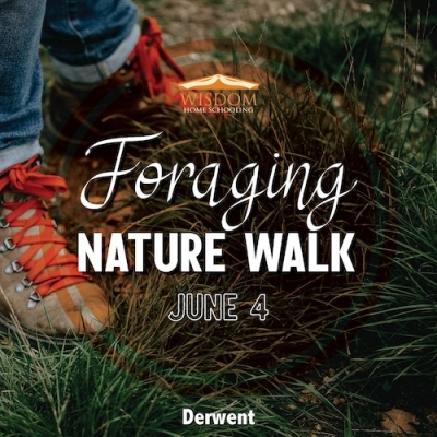 Foraging Walk G - Derwent