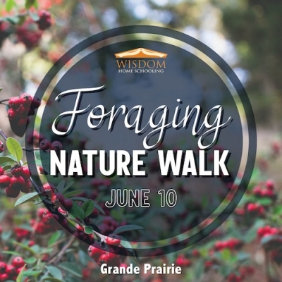 Foraging Walk N - Grande Prairie