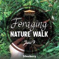 Foraging Walk E - East Central