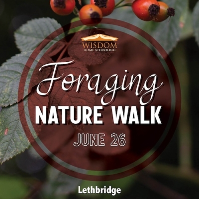 Foraging Walk Y - Lethbridge