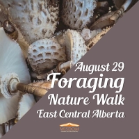 Foraging Walk P - East Central