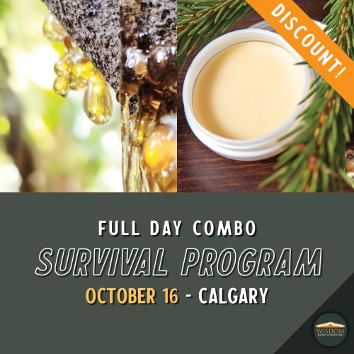 Survival: Full Day Combo - Calgary