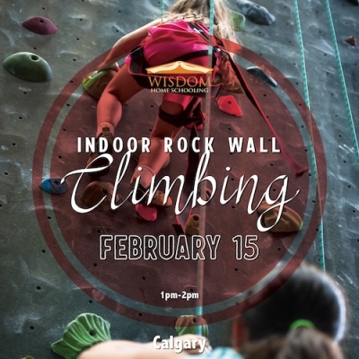 Indoor Rock Wall Climbing - Calgary K