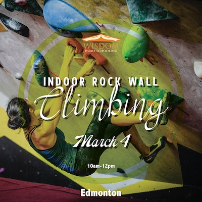 Indoor Rock Wall Climbing - Edmonton H