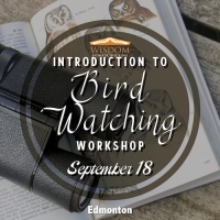 Introduction to Bird Watching A
