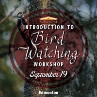 Introduction to Bird Watching B