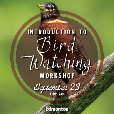 Introduction to Bird Watching D
