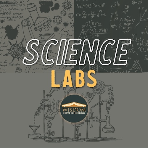 Senior Physics Lab Seminar - Calgary <span>E1159</span>