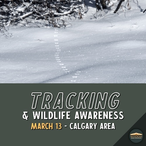 Tracking and Wildlife Awareness - Calgary <span>E1061</span>