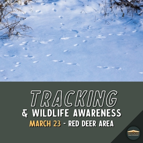 Tracking and Wildlife Awareness - Red Deer <span>E1064</span>