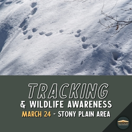 Tracking and Wildlife Awareness - Stony Plain <span>E1065</span>