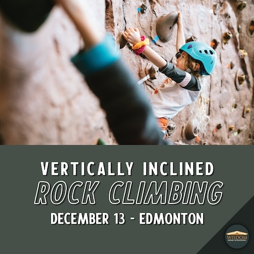 Indoor Rock Wall Climbing - Edmonton J