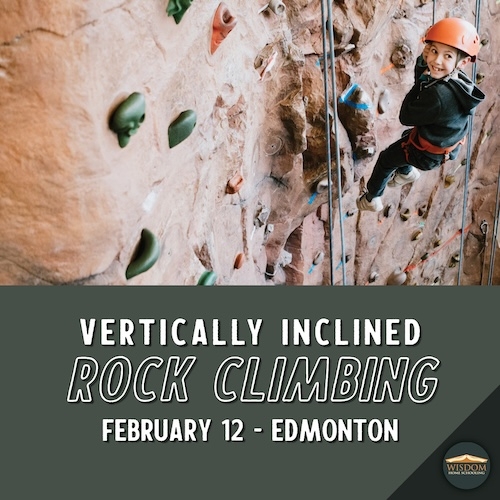 Indoor Rock Wall Climbing - Edmonton K