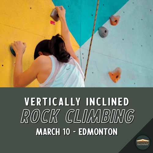 Indoor Rock Wall Climbing - Edmonton L