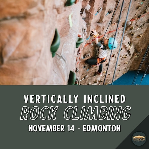 Indoor Rock Wall Climbing - Edmonton I