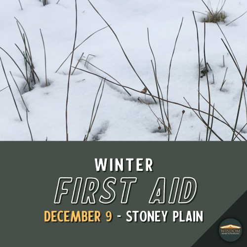 Winter First Aid - Stony Plain <span>E0000</span>